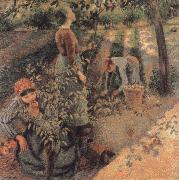 Camille Pissarro The Apple Pickers Spain oil painting artist